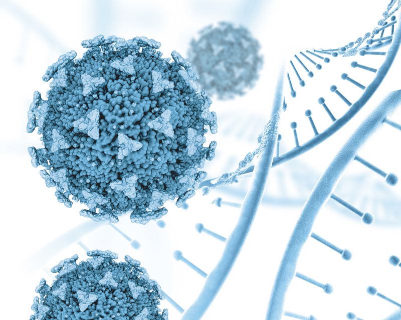 IMUNIDADE ADAPTATIVA E OS TESTES PARA COVID-19