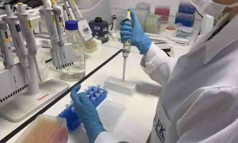 Teste laboratorial inédito identifica grau de imunidade à Covid-19